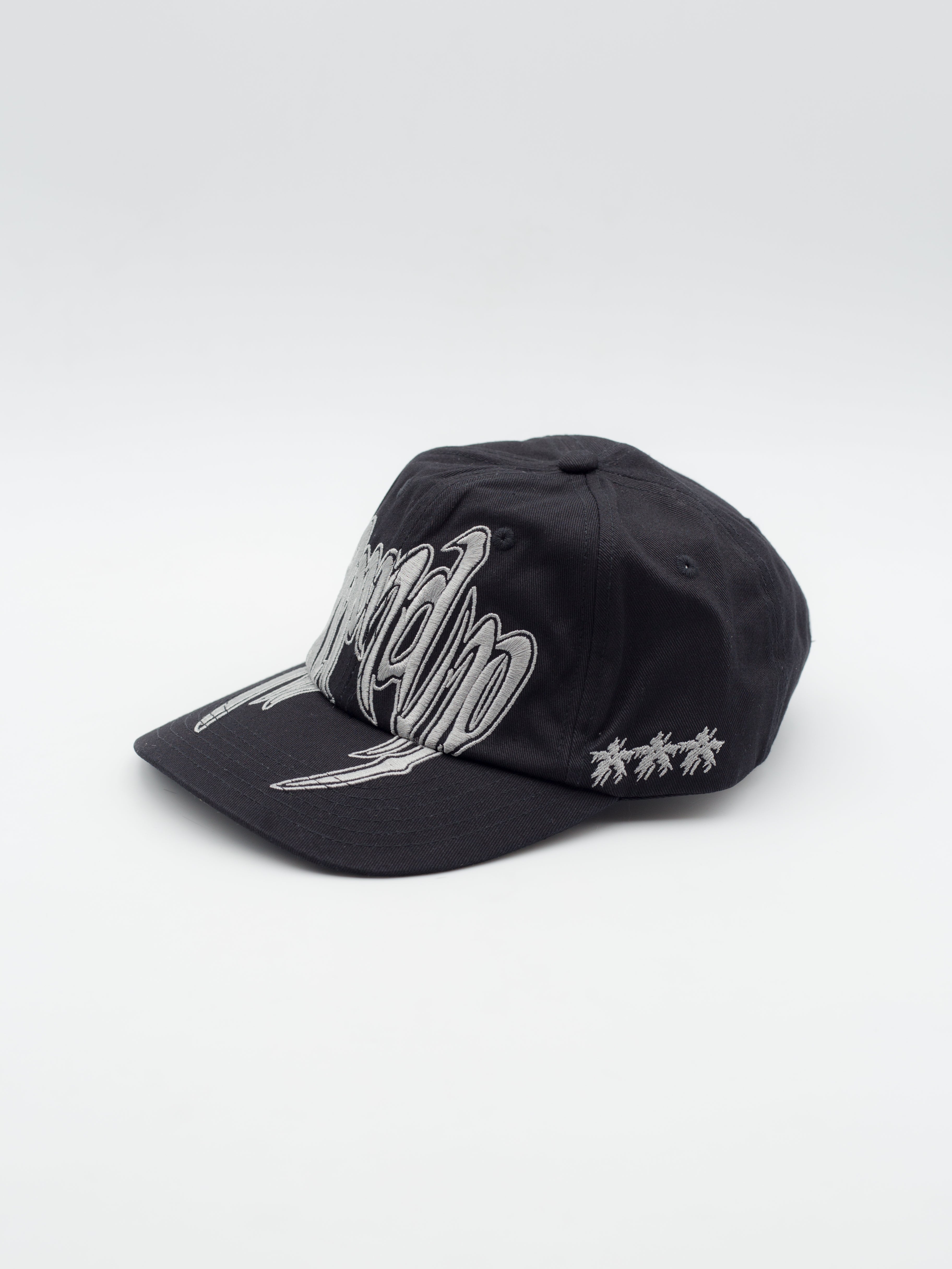 Different Day Dad Hat