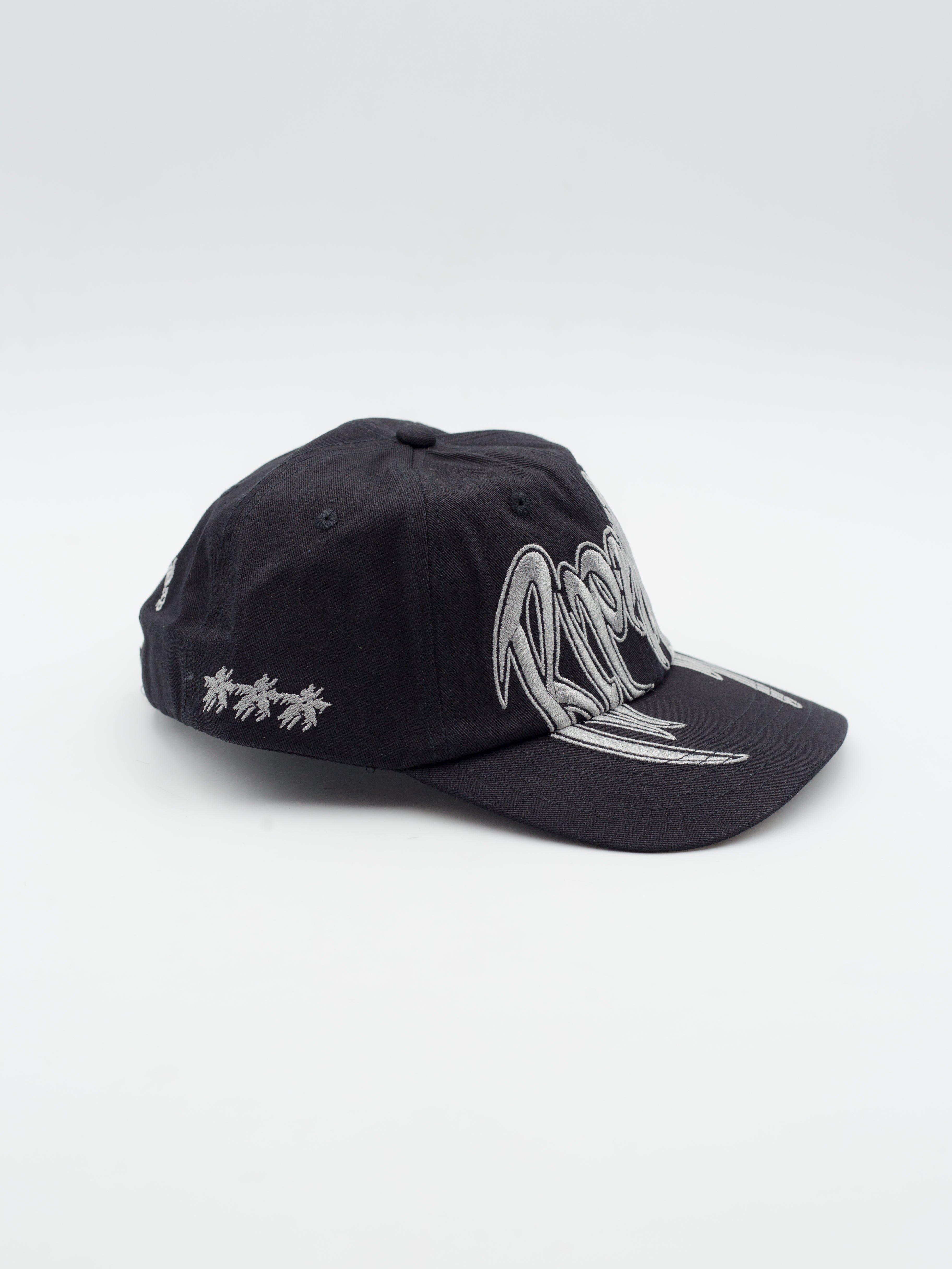 Different Day Dad Hat