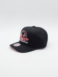 Pro Crown Chicago Bulls Snapback Black