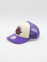 Vintage Block Toronto Raptors Trucker Purple/Beige