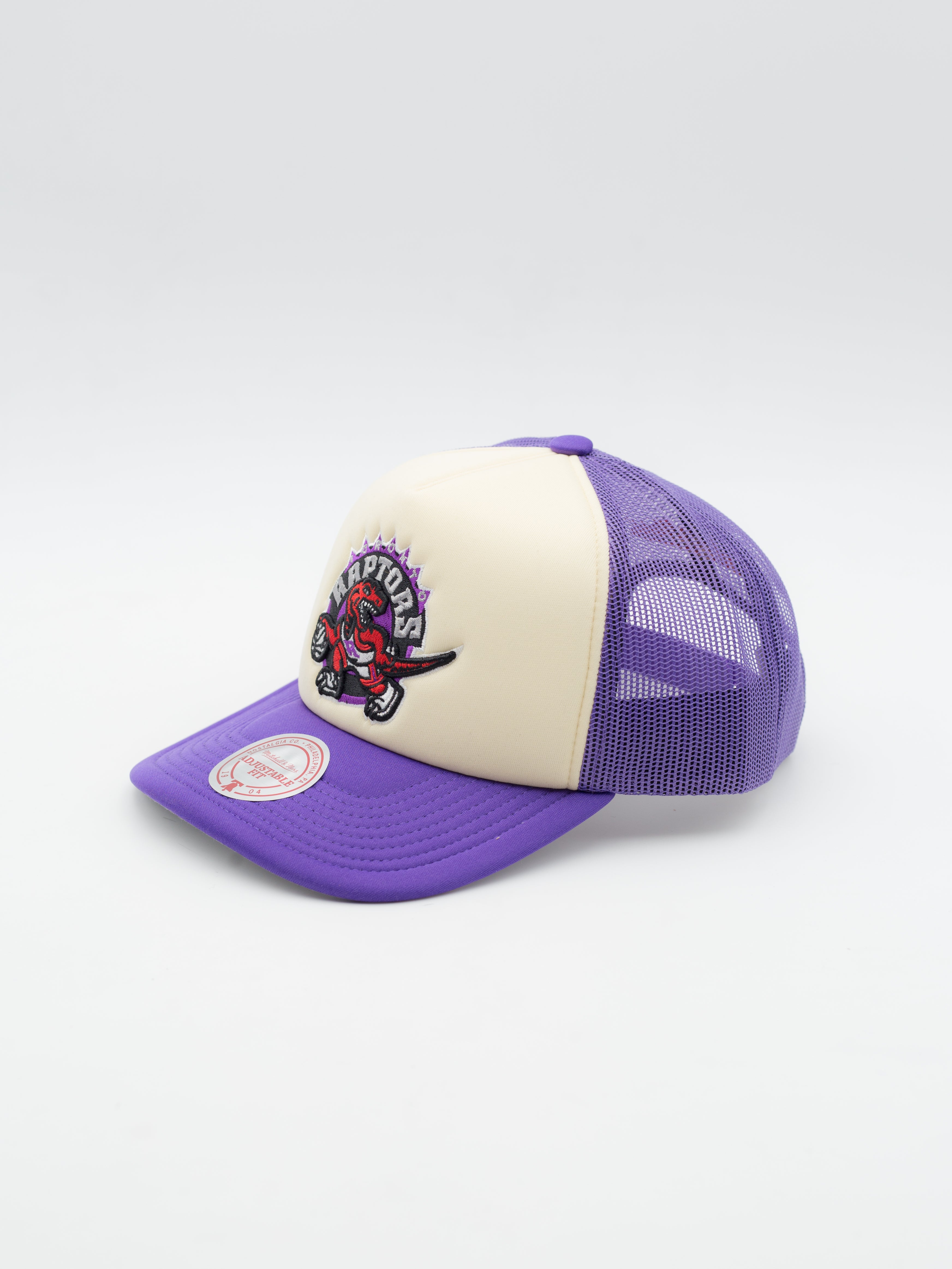 Vintage Block Toronto Raptors Trucker Purple/Beige