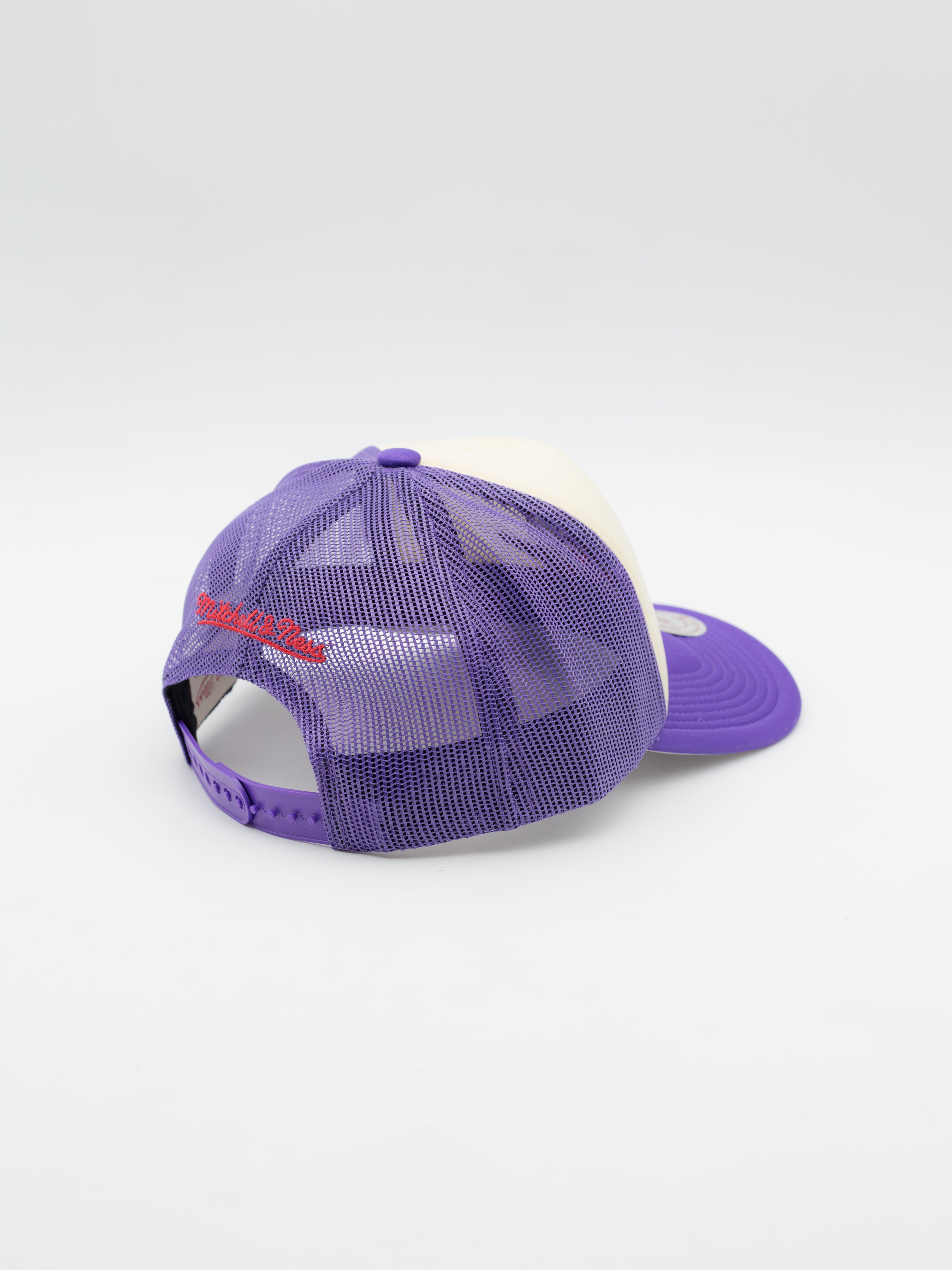Vintage Block Toronto Raptors Trucker Purple/Beige
