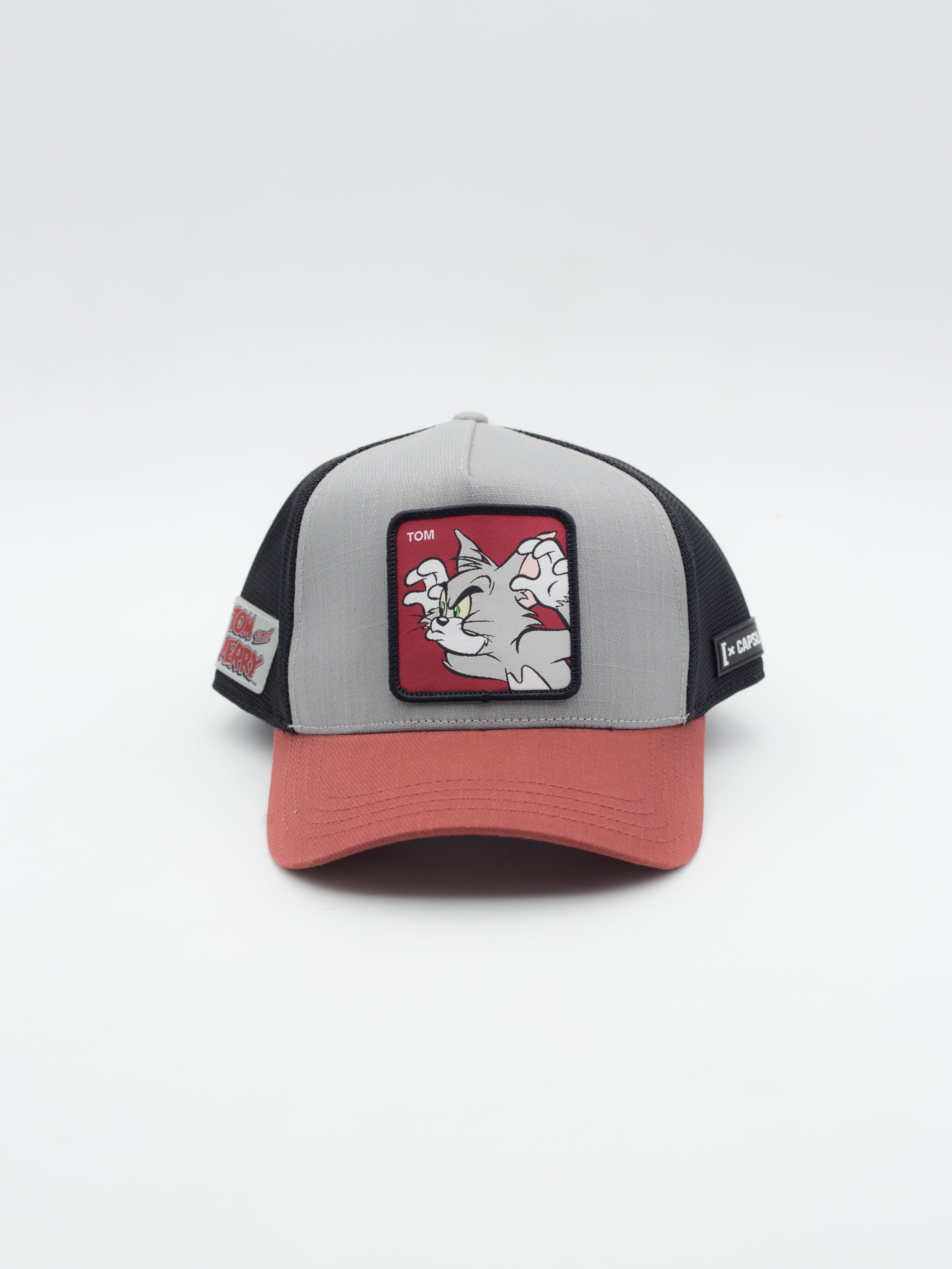 Camionneur Tom et Jerry des Looney Tunes