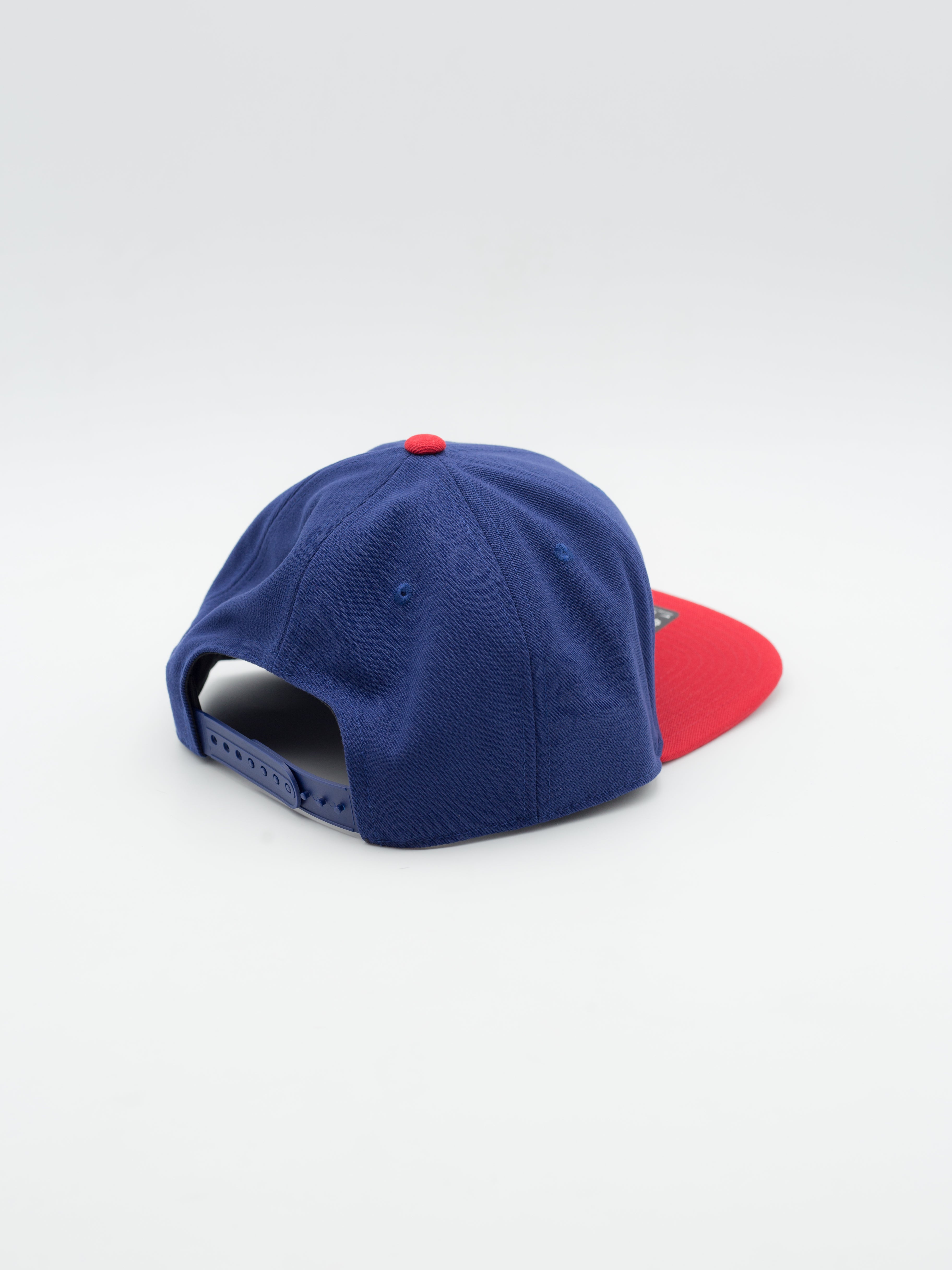 Pro Cap Chicago Cubs Snapback
