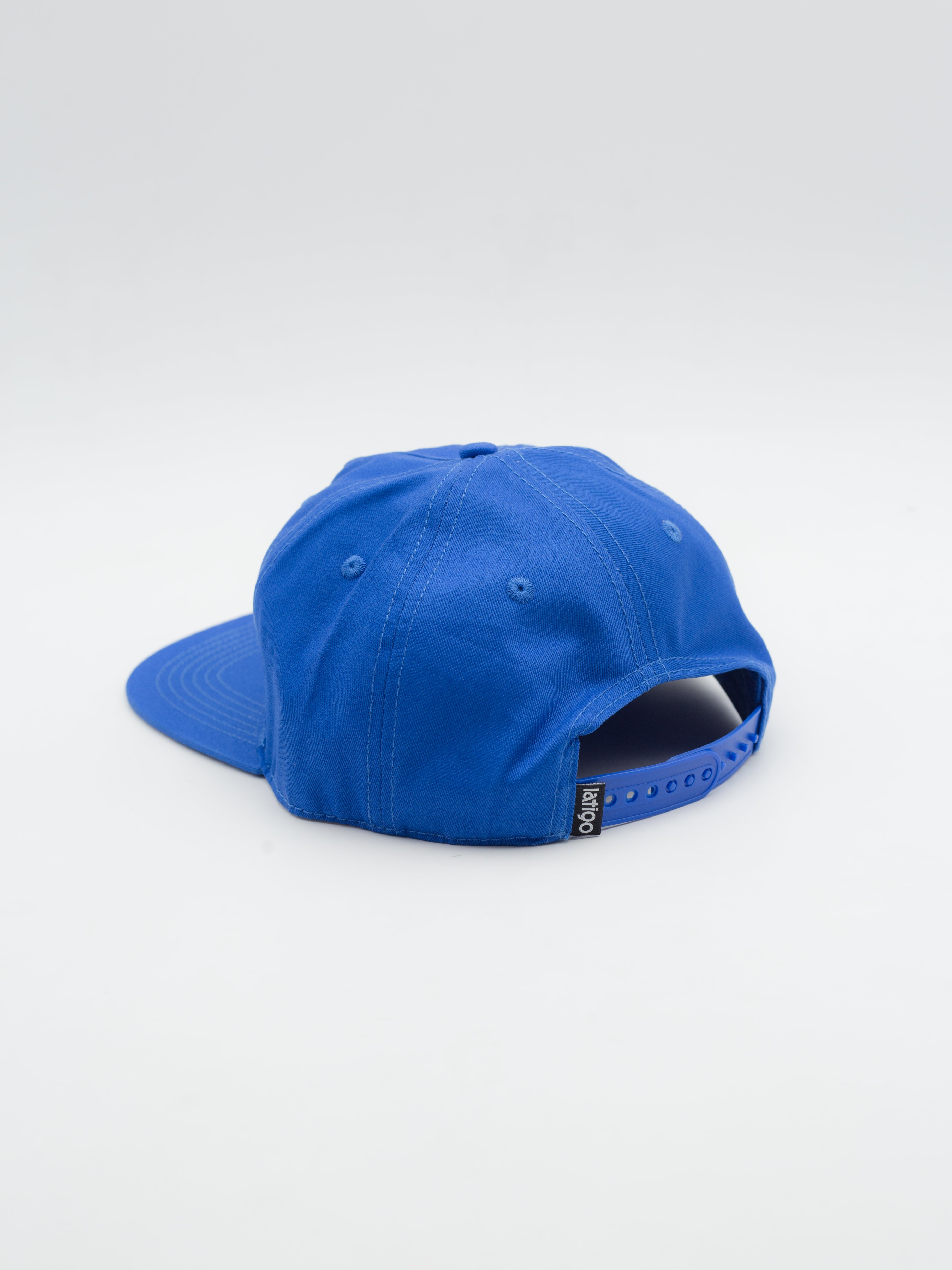 Famille Black Dad Hat