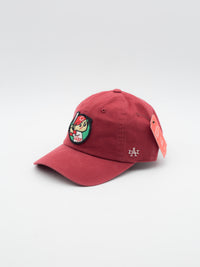 Sinclair Yosemite National Trucker
