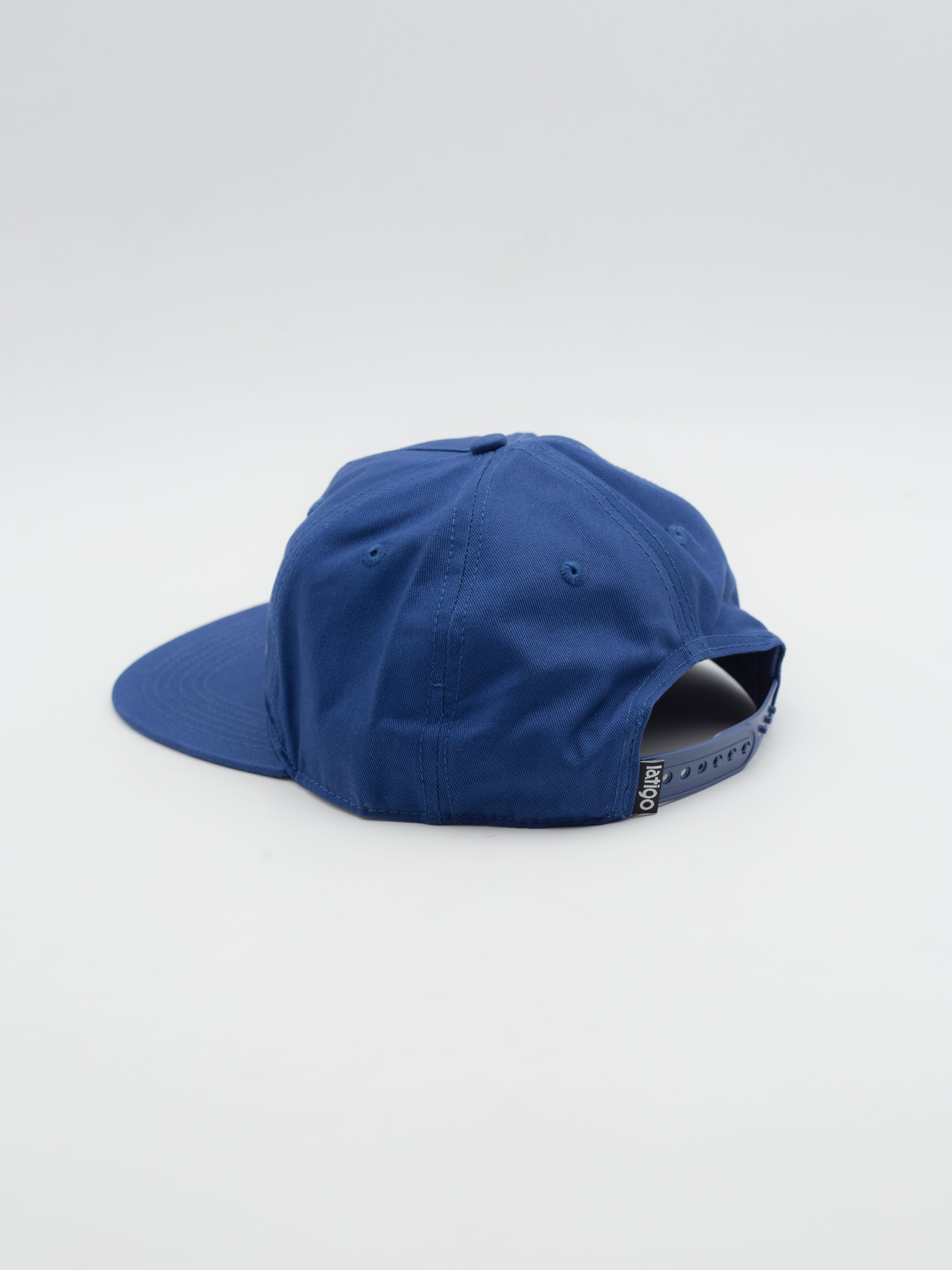 Famille Black Dad Hat