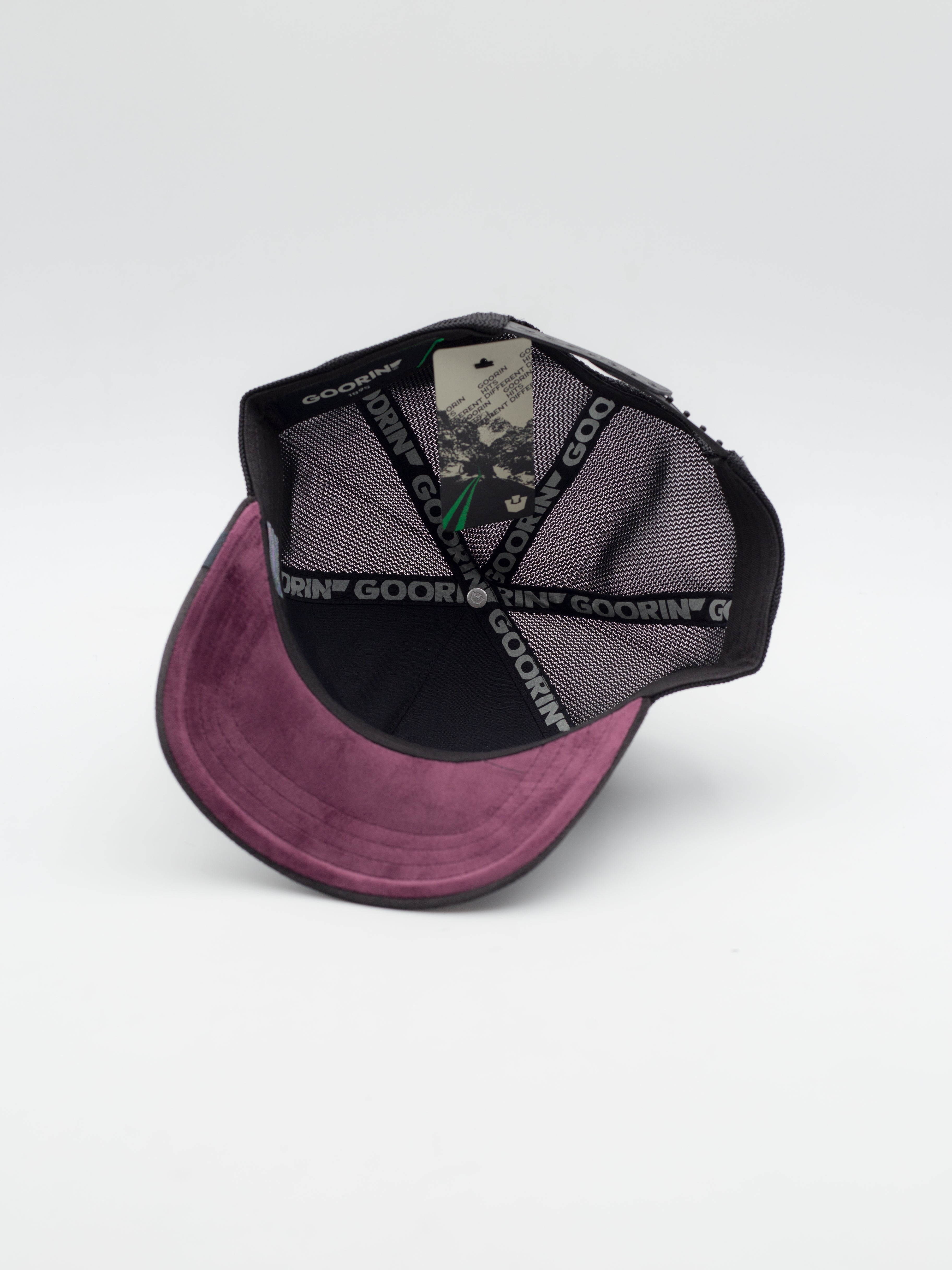 Velour Boss Trucker Black