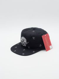 Deadstock Bone Pattern Toronto Raptors Snapback