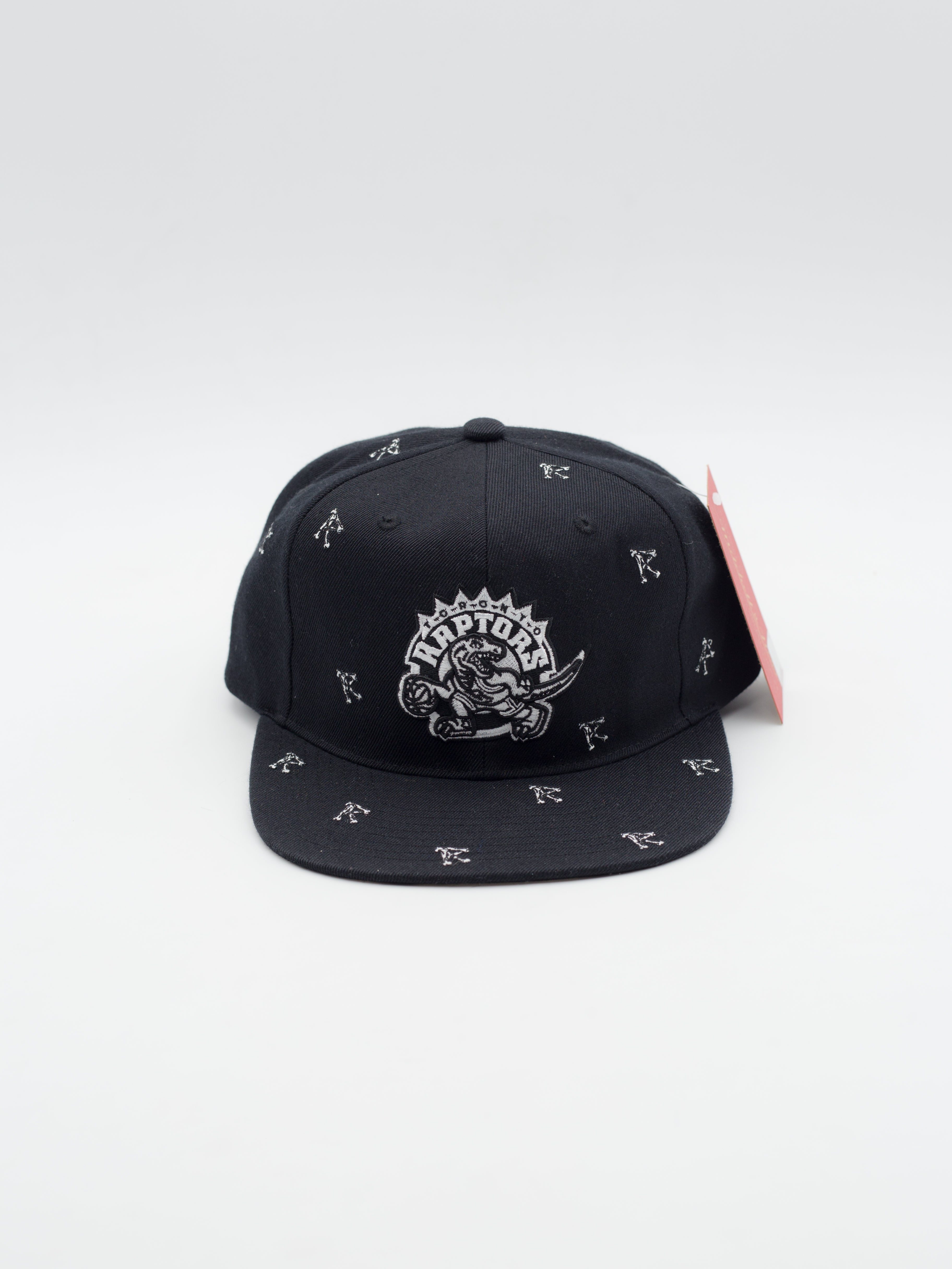 Deadstock Bone Pattern Toronto Raptors Snapback