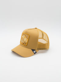Circle of Life - Cold Blooded Trucker Camel