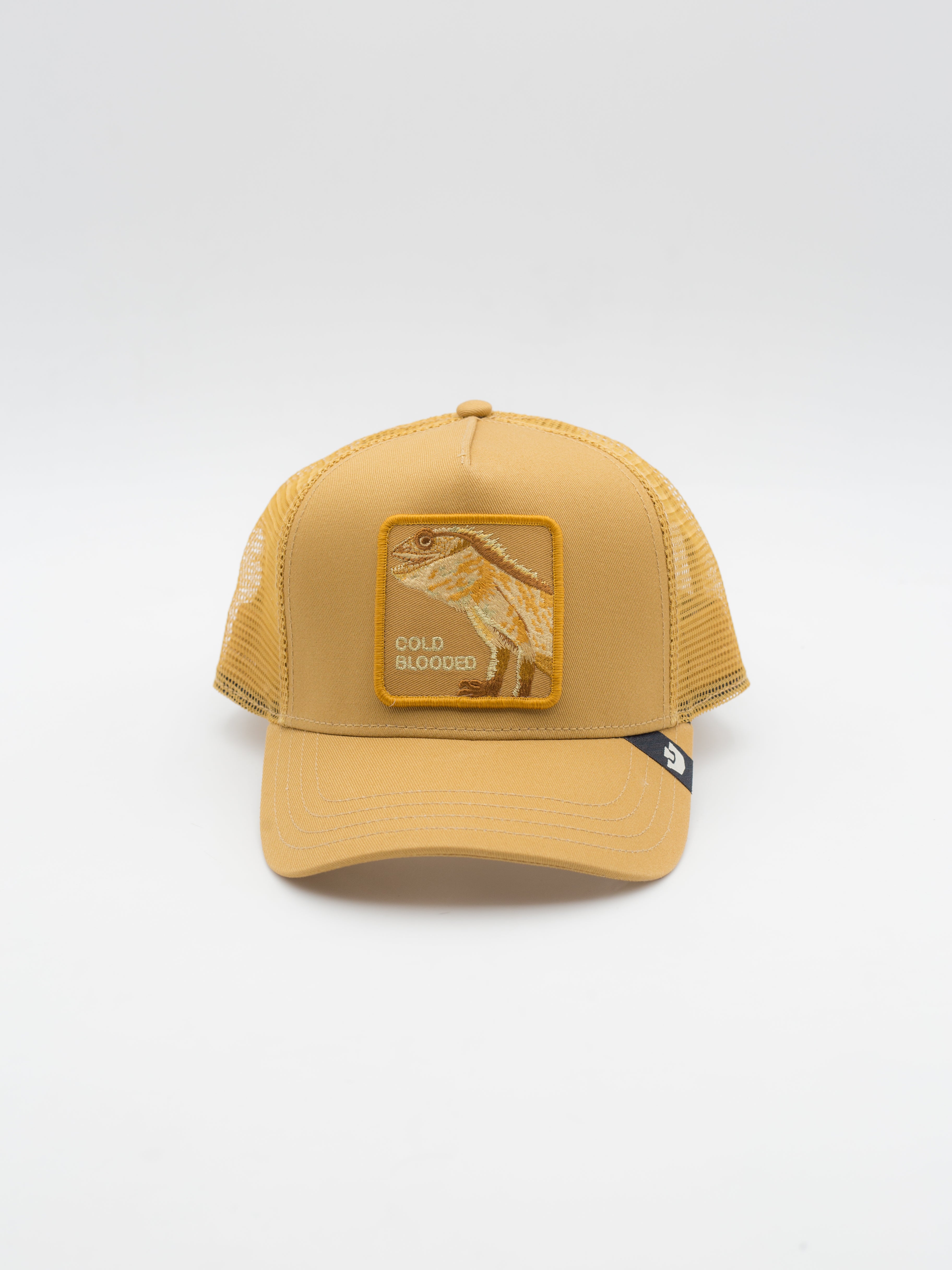 Circle of Life - Cold Blooded Trucker Camel