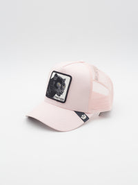 Le Panther Trucker Coral 