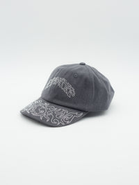 Pretty Flacko Distressed Hat