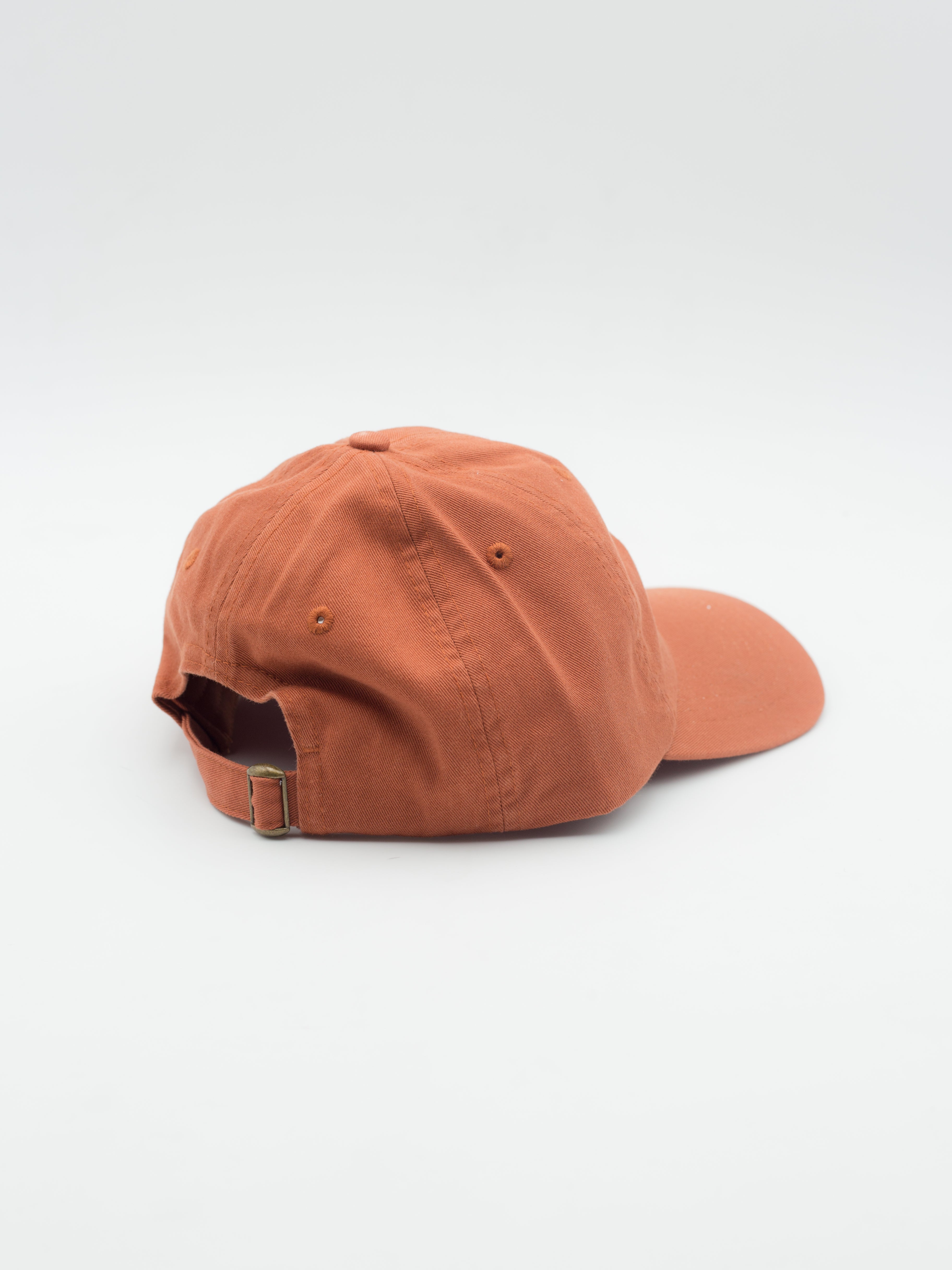Don't Trip Dad Hat Rust