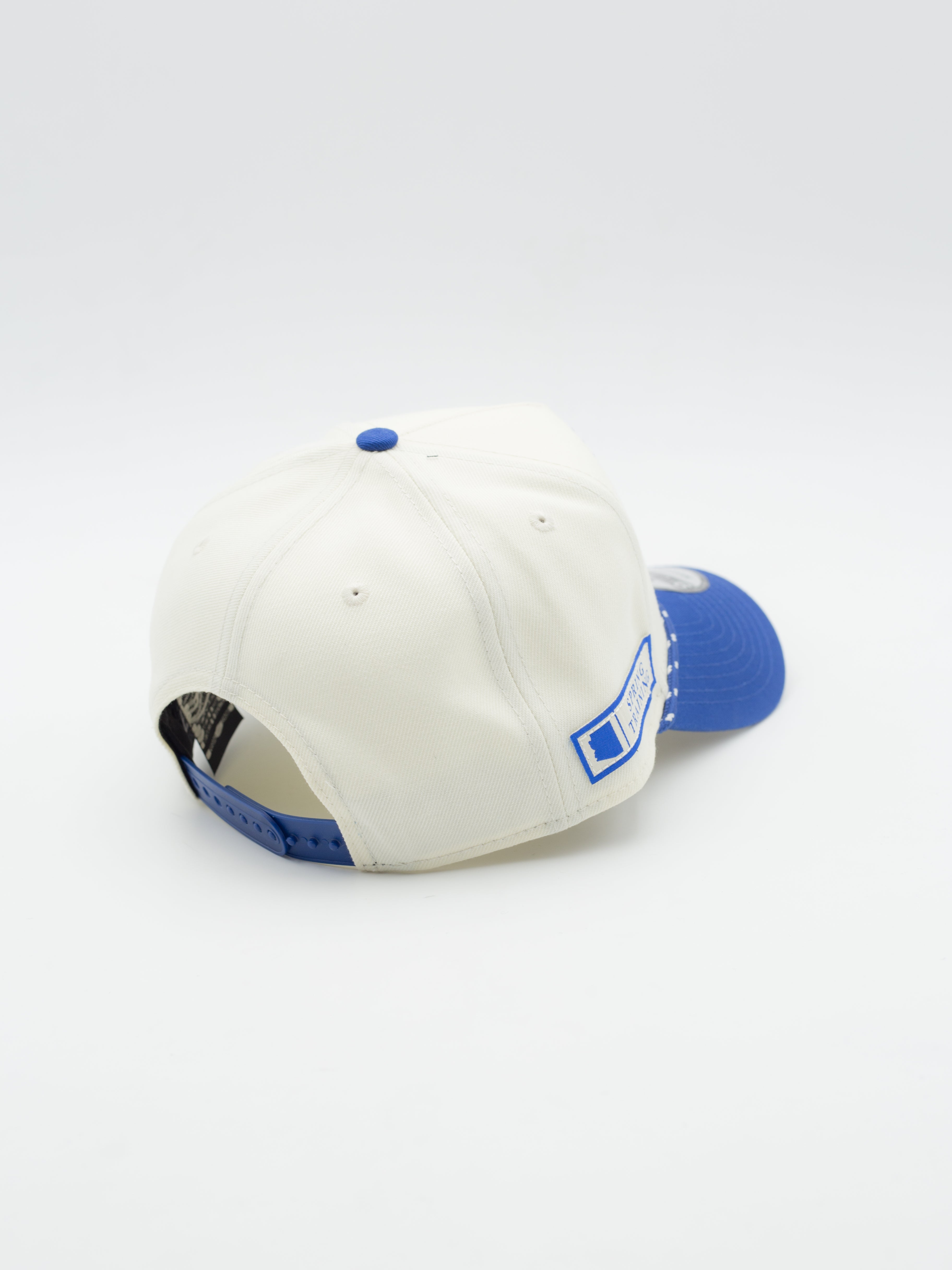 9FORTY A-Frame Spring Training Rope Chicago Cubs Beige/Blue