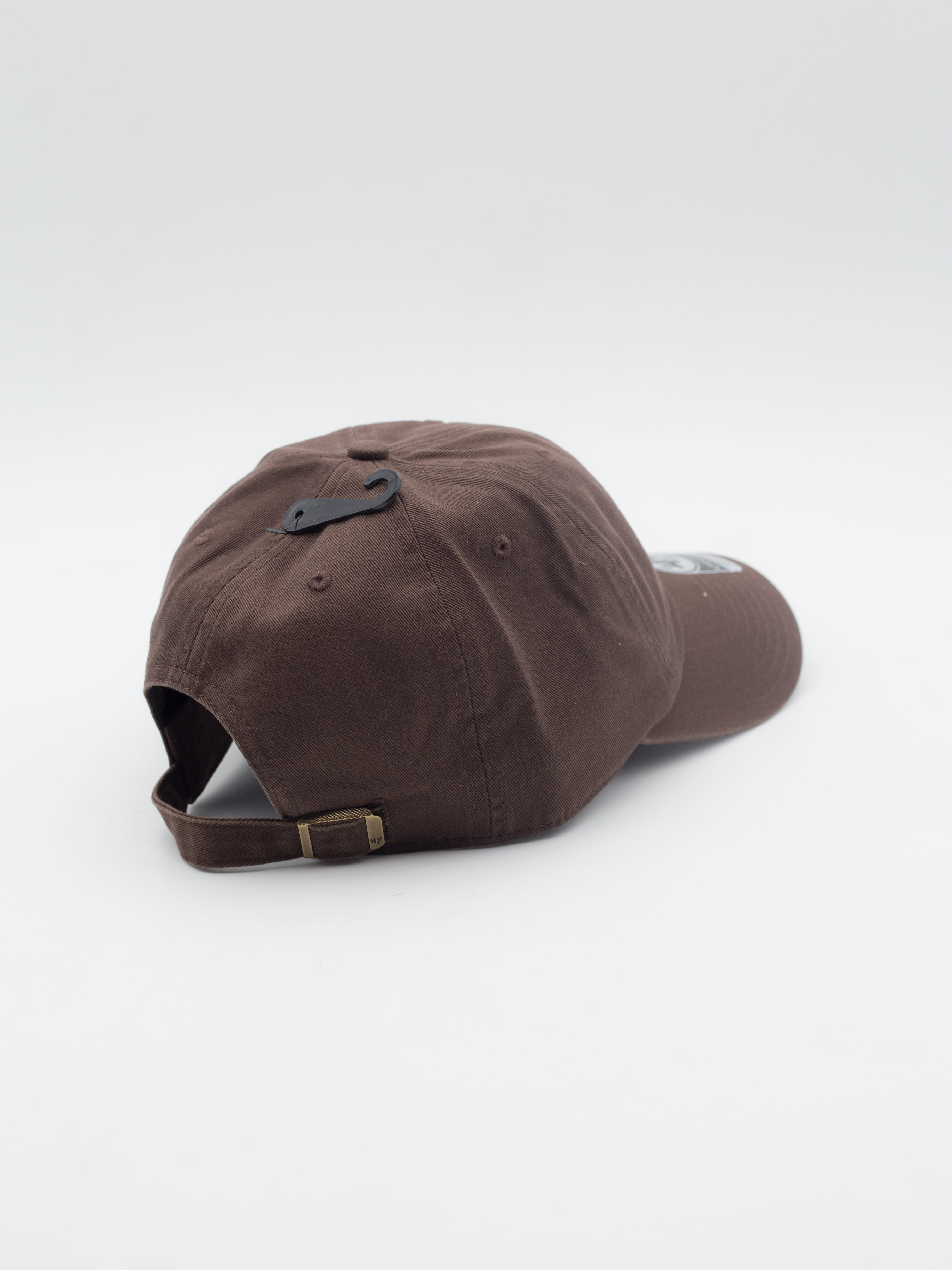 CLEAN UP Dog Teckel Brown