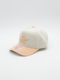 Pro Pinch Chalk Dust Toronto Raptors Snapback