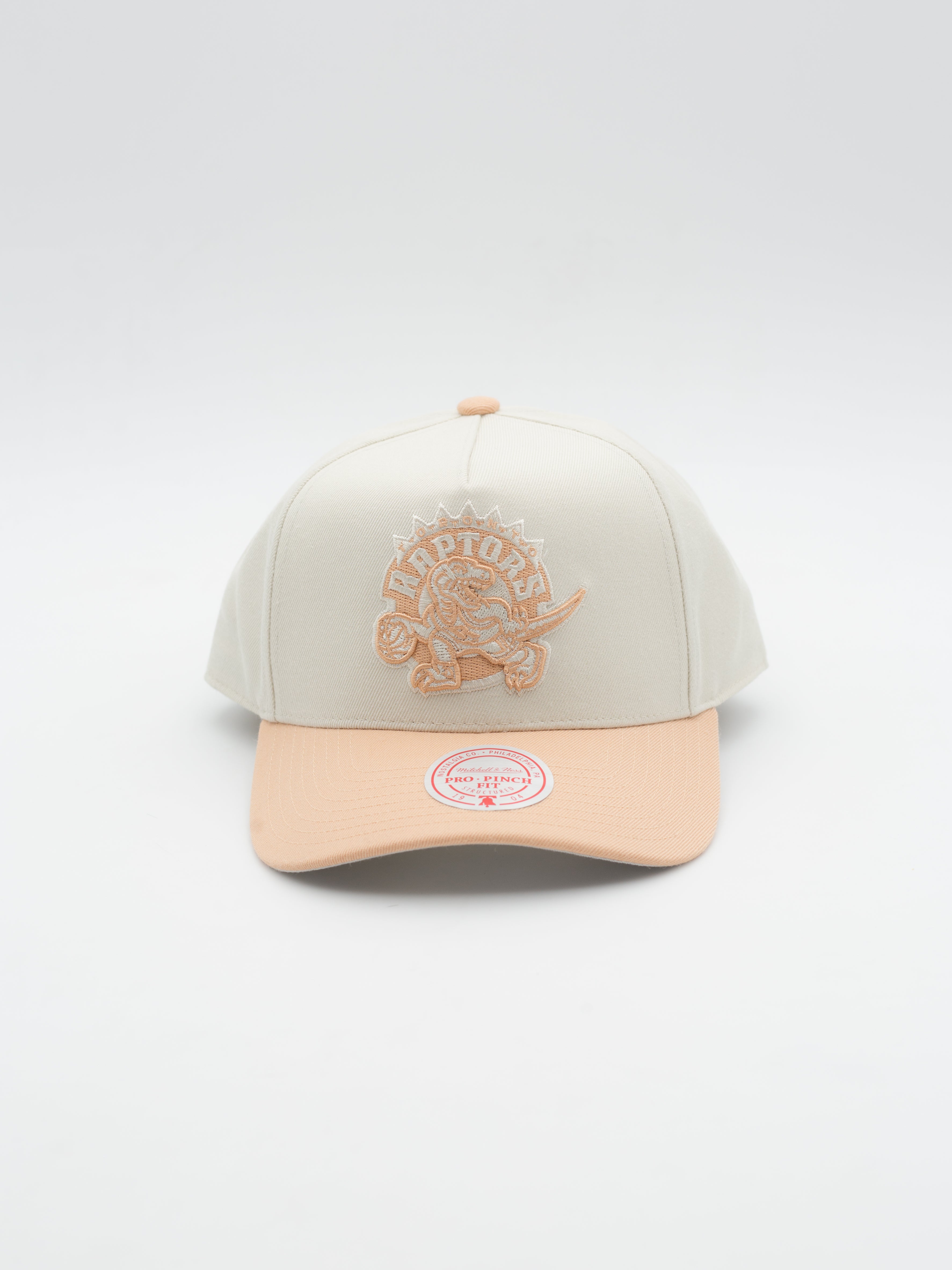 Pro Pinch Chalk Dust Toronto Raptors Snapback