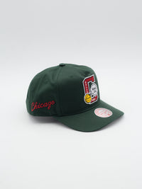 The Caddy Fit Vintage Chicago Bulls Snapback Green