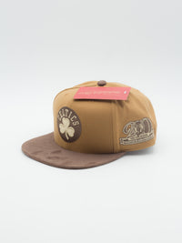 Coffee Boston Celtics Strapback