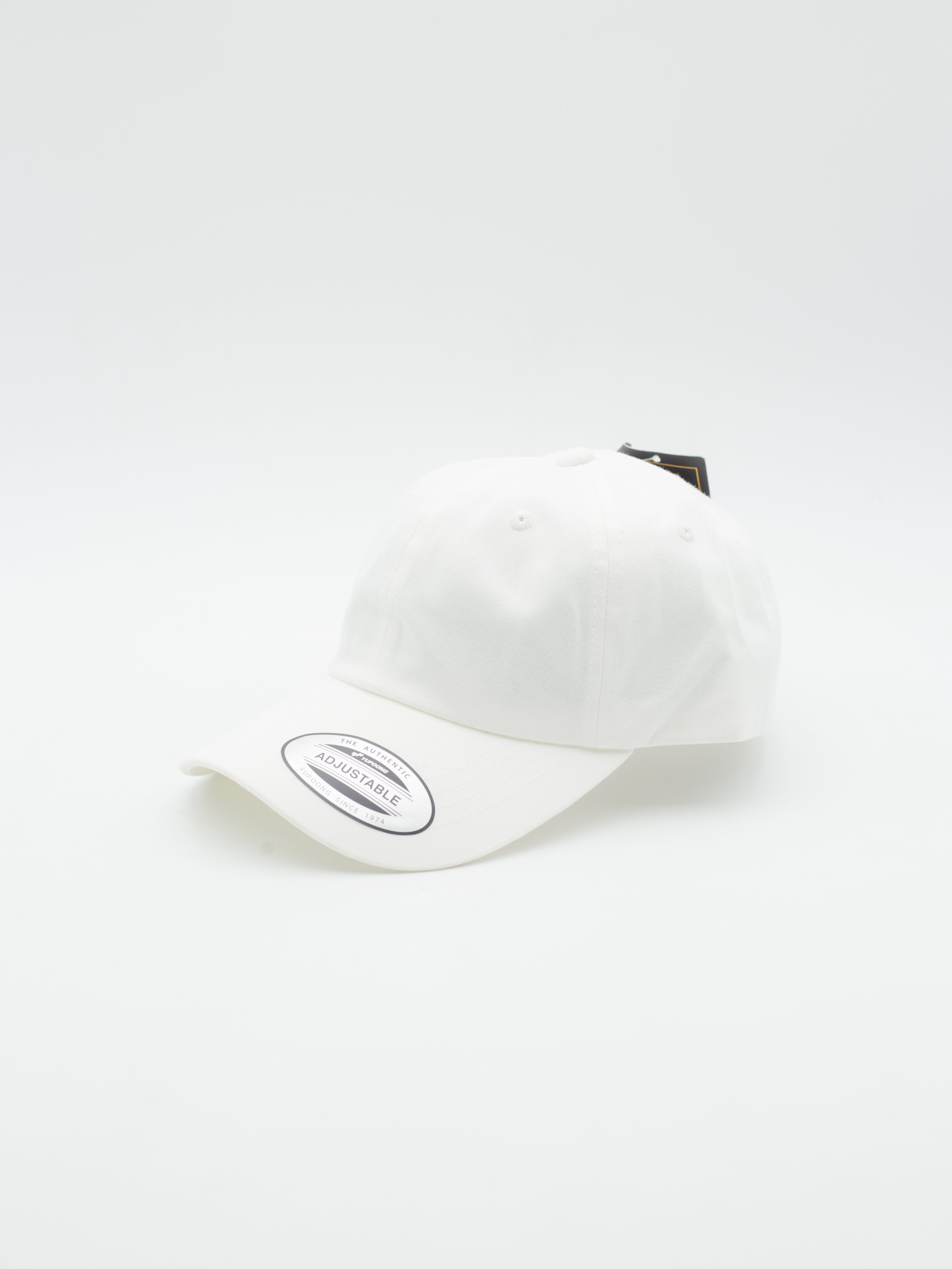 Dad Cap 6 Panel Flexfit