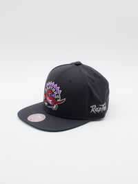 April Showers Toronto Raptors Snapback