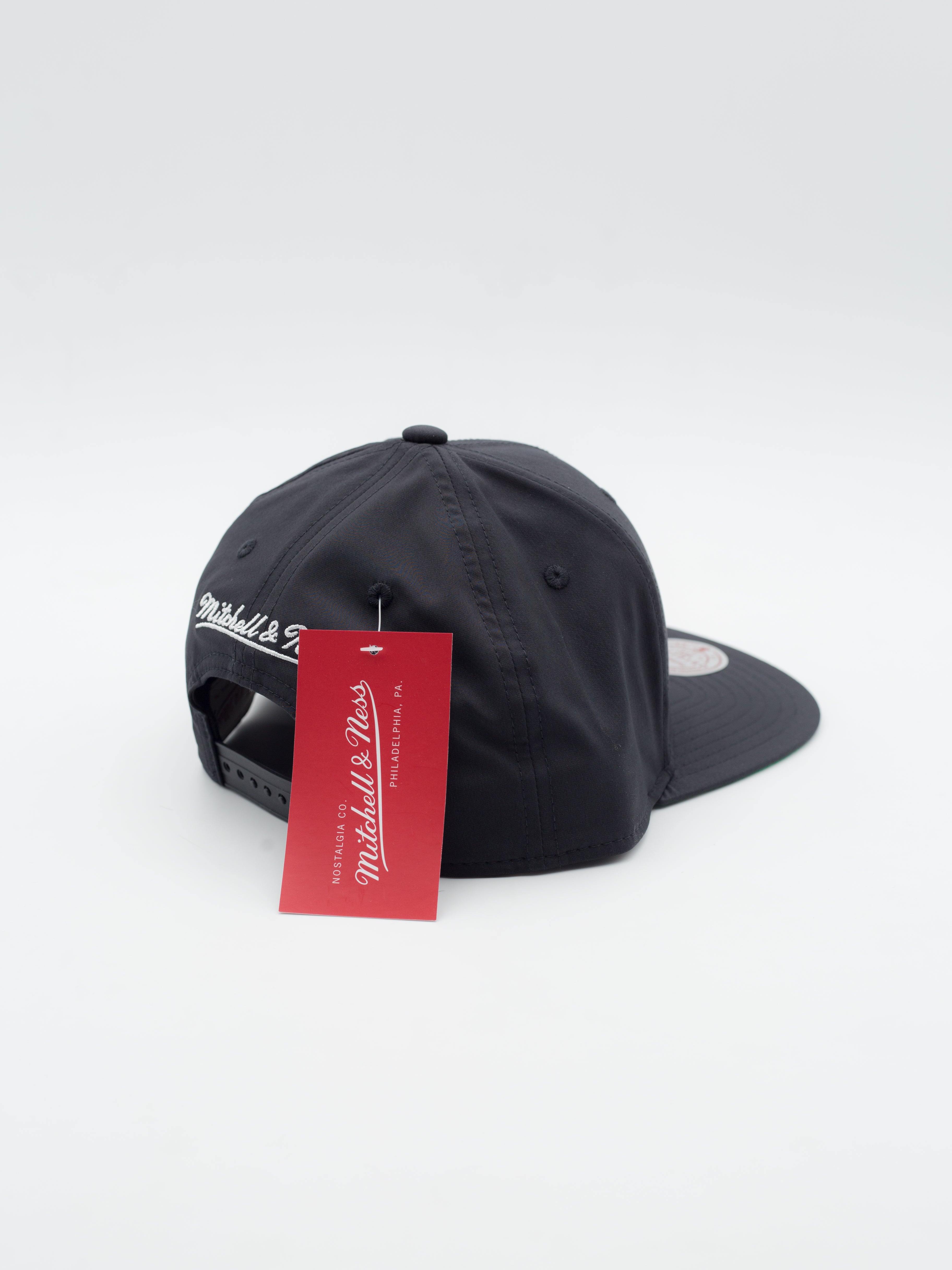 April Showers Toronto Raptors Snapback