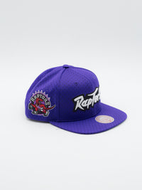 Meshed Up Toronto Raptors Snapback