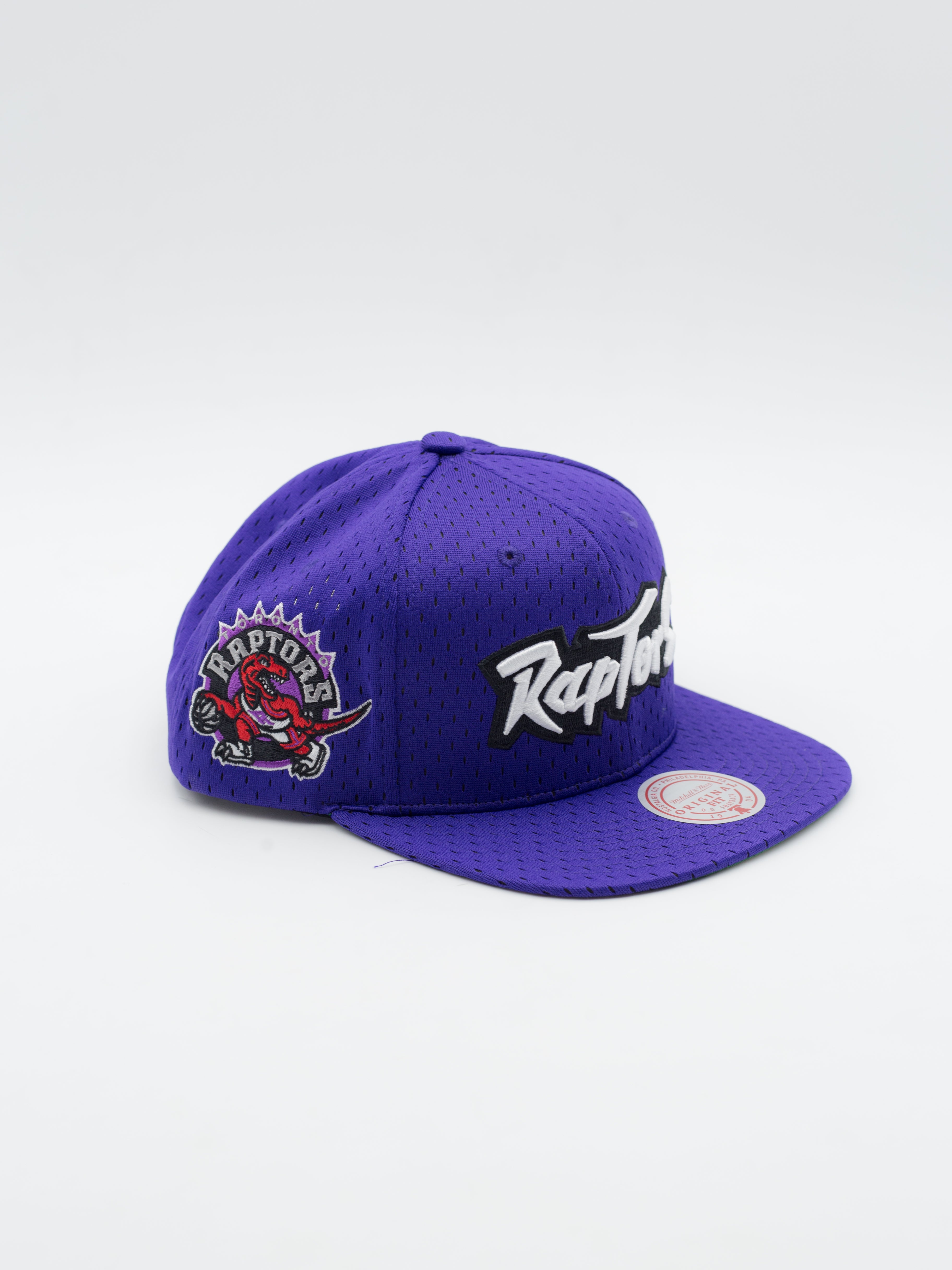 Meshed Up Toronto Raptors Snapback