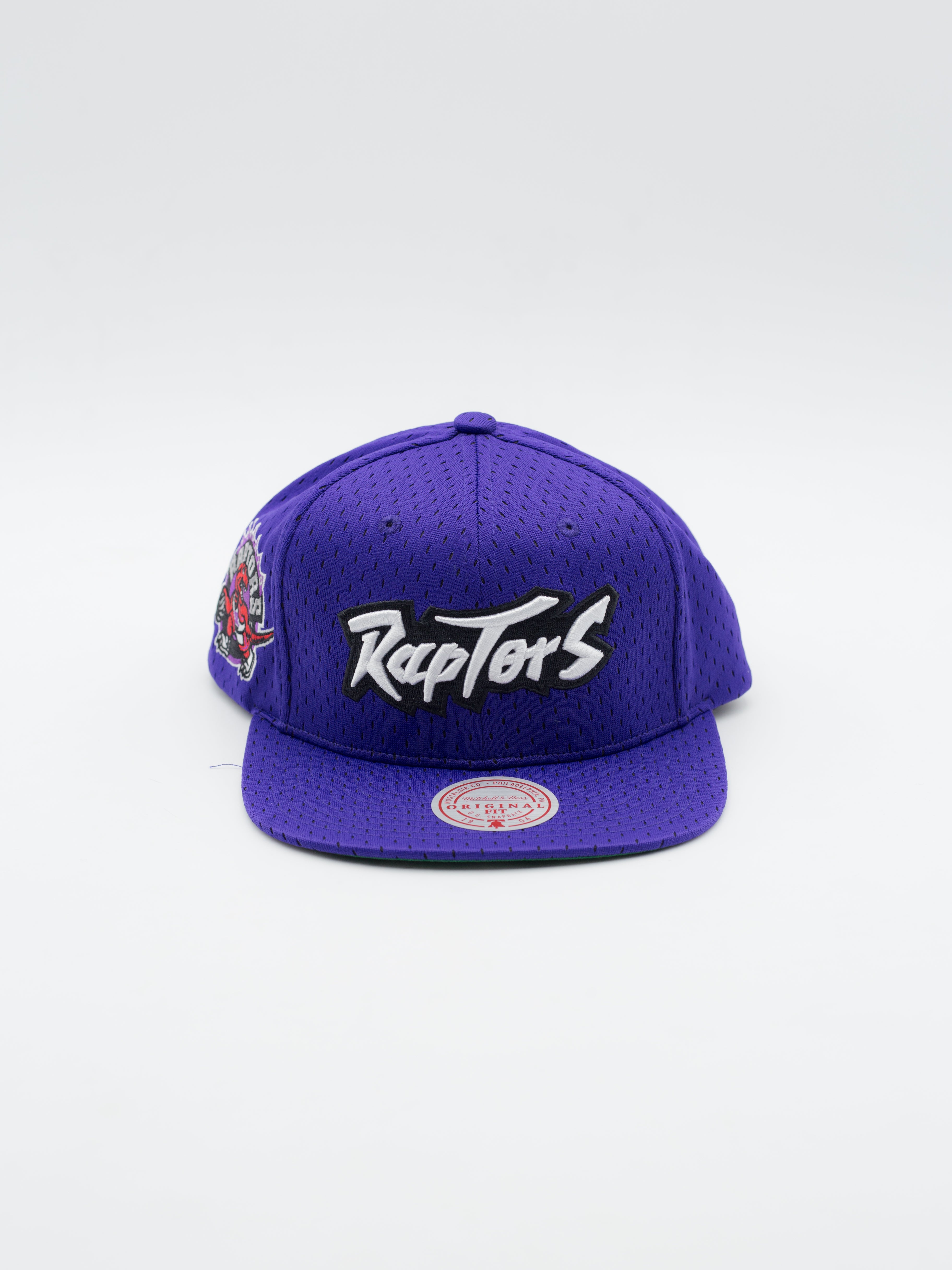 Meshed Up Toronto Raptors Snapback