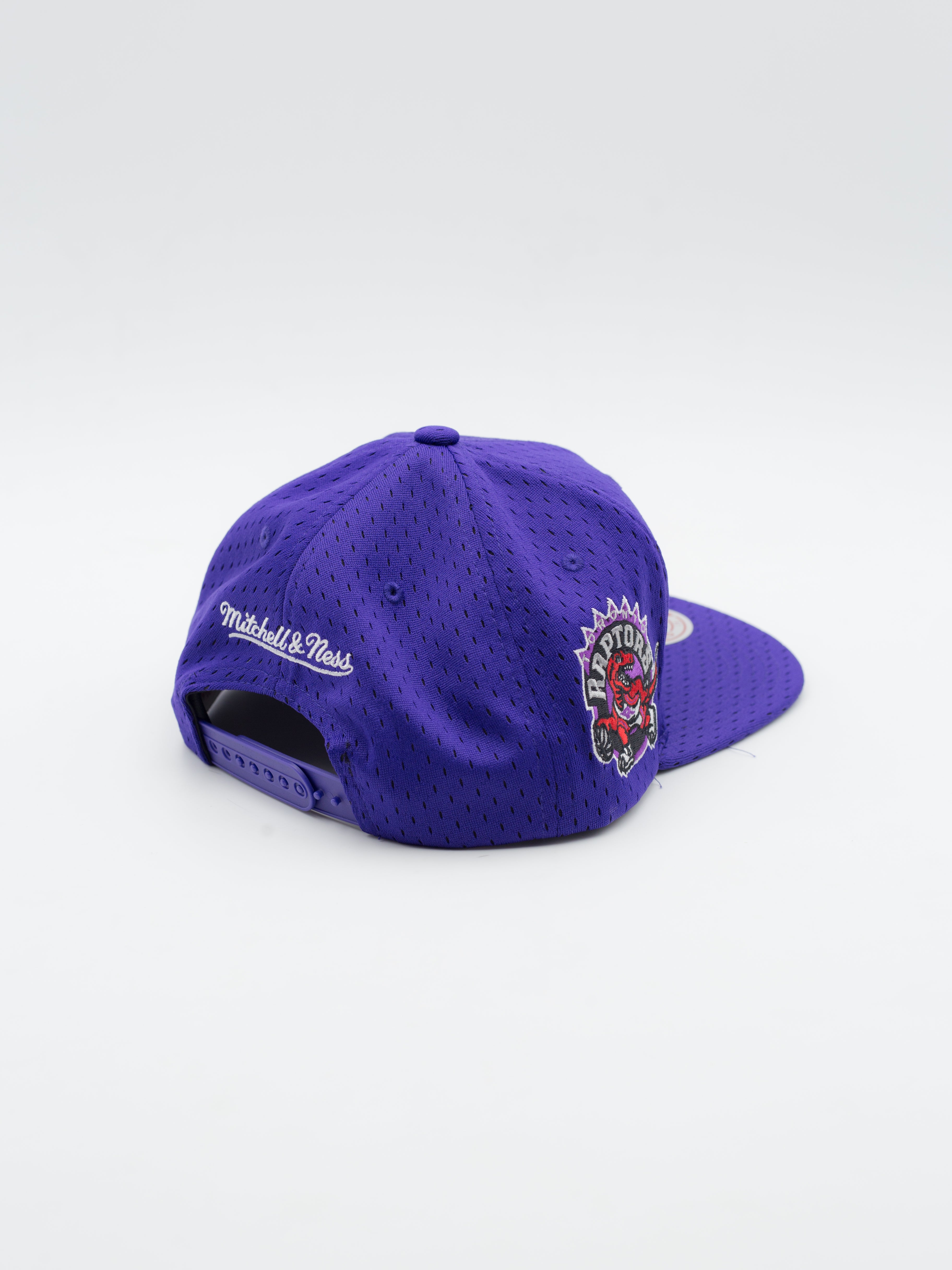 Meshed Up Toronto Raptors Snapback